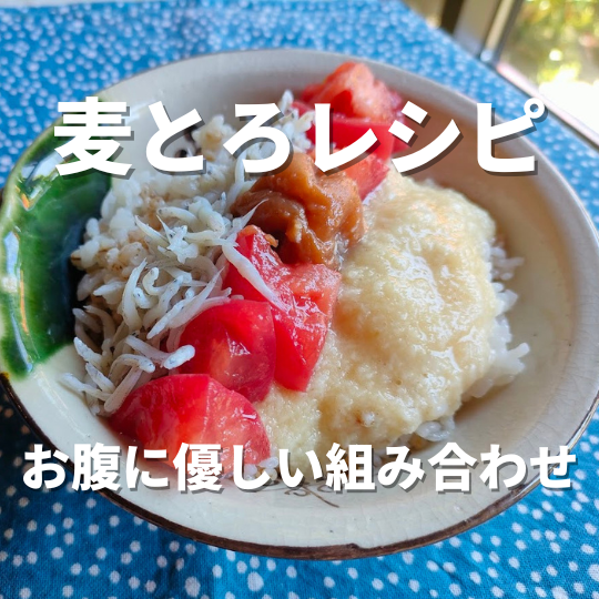 夏バテ防止に！麦とろご飯レシピ-雑穀屋やま元の簡単レシピ-