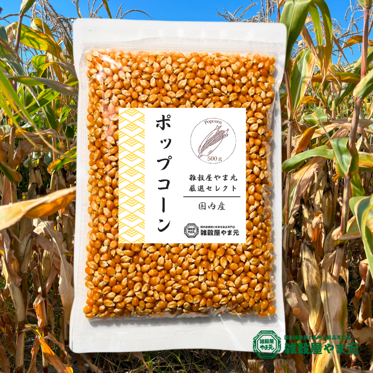 北海道産 ポップコーン 500g│雑穀屋やま元 – 雑穀屋 やま元
