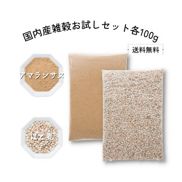 やまやんさん専用 4534587510400_01.jpg
