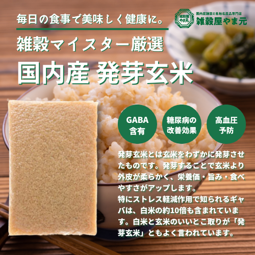 国内産 発芽玄米│雑穀屋やま元 – 雑穀屋 やま元 国内産 発芽玄米│雑穀屋やま元 – 雑穀屋 やま元
